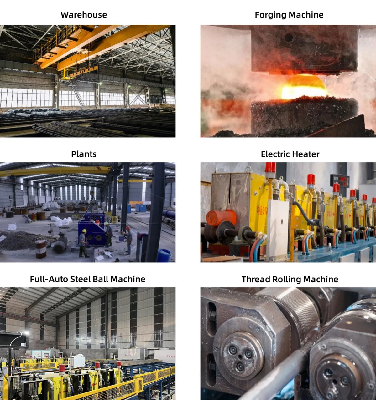 پودے اور پیداواری آلات
