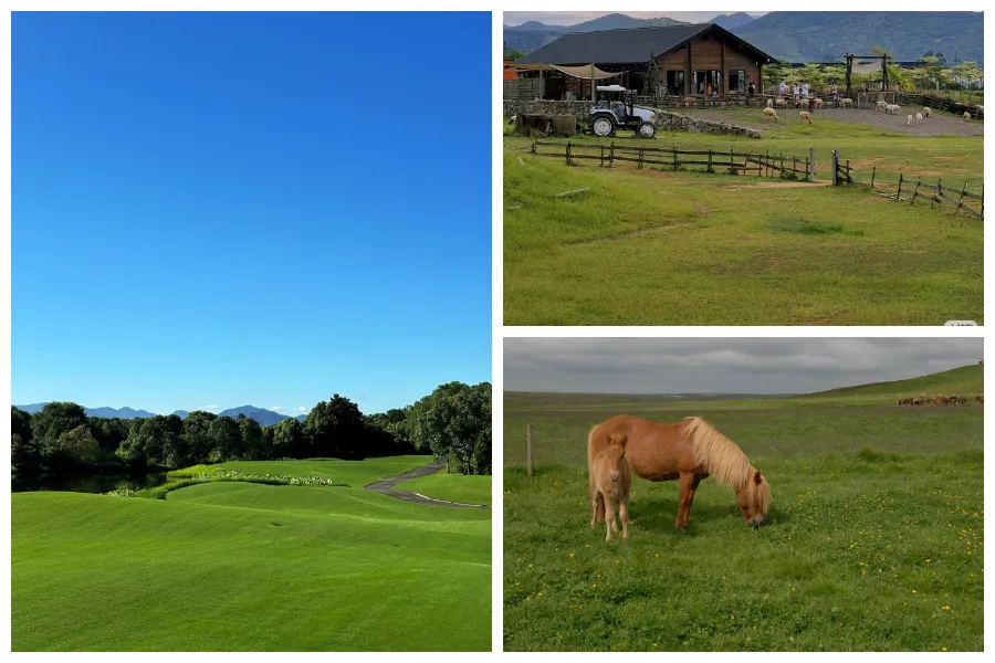 ریموٹ کنٹرول لان موور 500 ملی میٹر