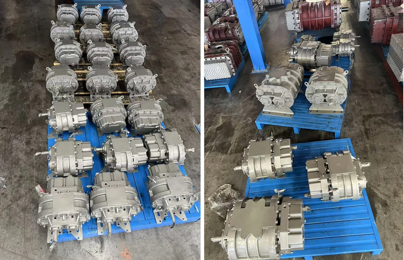 بی لوب بلورز