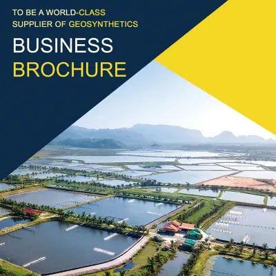 بیمیکس بروشر